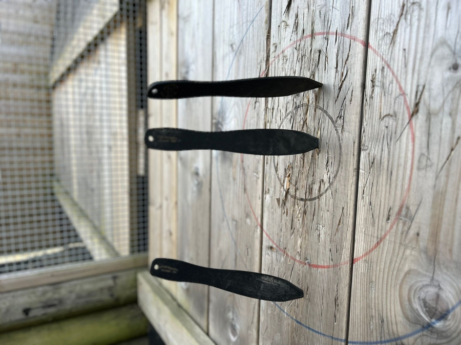Knife Throwing Experience